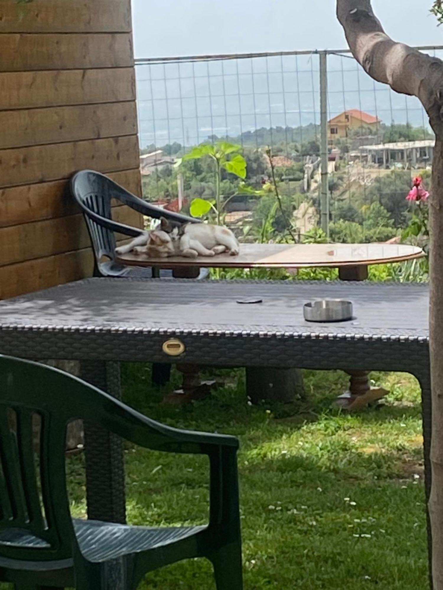 Meti Wooden